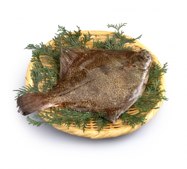 カレイ